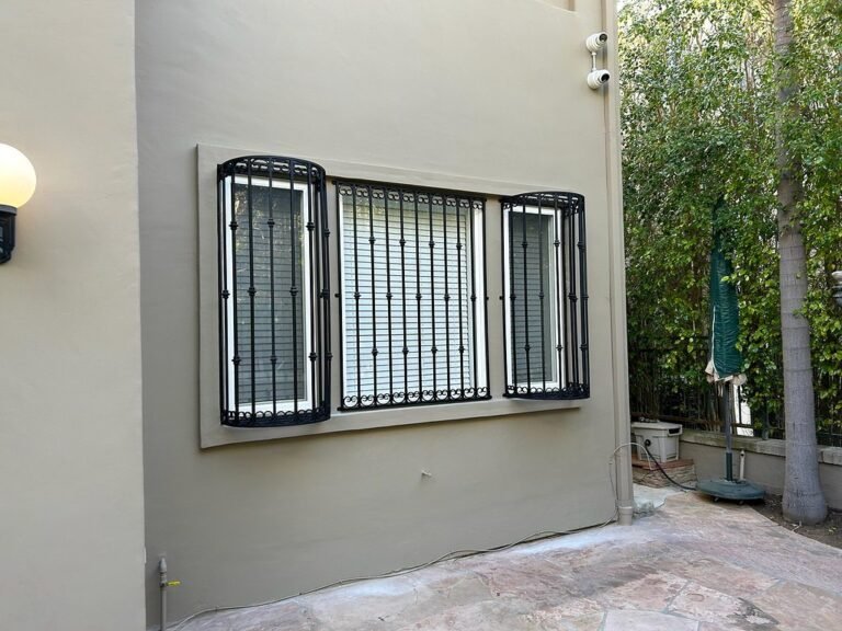 Black iron security bars on a set of windows